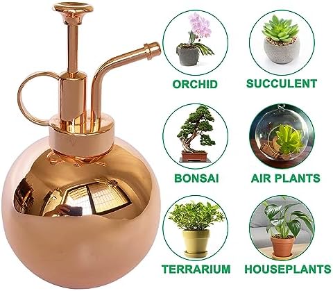 Stainless Steel Plant Sprayer, Small Watering Can Plant Misting Bottle, Modern Gardening Tools for Indoor Potted Plants Watering and Misting - Image 6