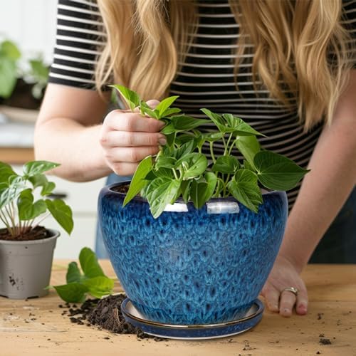 Ceramicfor 10 Inch Ceramic Planter Pot, Ceramic Plant Pot for Indoor Outdoor Plants, Large Flower Pot with Drainage Hole and Saucer, Blue - Image 6