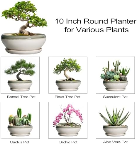 SQOWL Bonsai Pots Ceramic - 10 Inch Succulent Planters for Indoor Plants Outdoor, Shallow Round Planter with Drainage Hole and Saucer, Ceramic Planter Bowl, Office Decor, Gifts for Women, Gray-Beige - Image 7