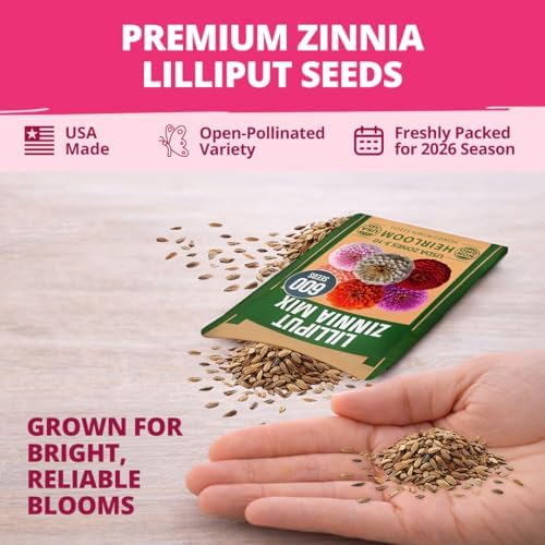 HOME GROWN Zinnia Seeds, Lilliput Mix, 600 Seeds, Zinnia elegans - Image 7