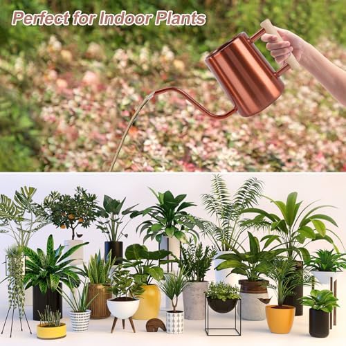 Watering Can Indoor Plants, 35 oz/1000 ml Metal Stainless Steel Watering Can Pot with Long Spout for Indoor House Plants Bonsai Outdoor Garden Flower Decorative (Copper) - Image 7