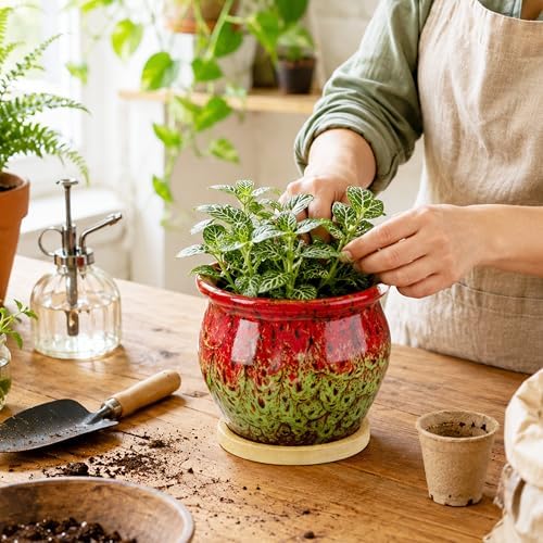 4.5 Inch Plant Pots with Drainage, Small Ceramic Pots for Indoor Plants - Image 7