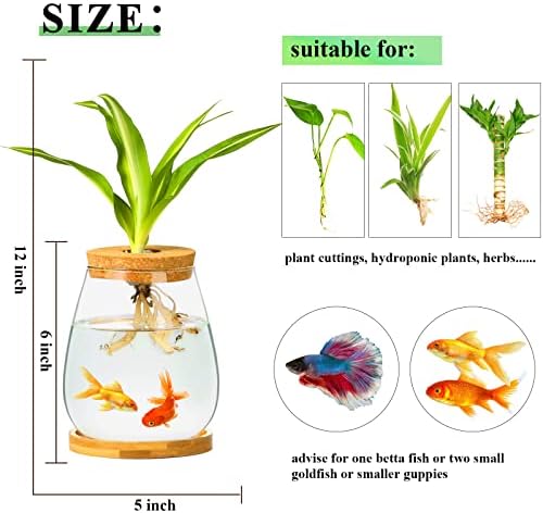 Desktop Plants Terrarium Propagation Station Hydroponic Planters Retro Oval Glass Vase with Lid and Stand Home Office Decoration Gifts 2 Pack - Image 7