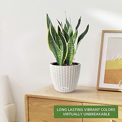 Dexceder 9x8 Self Watering Planter (Ivory White Rattan) - Image 6