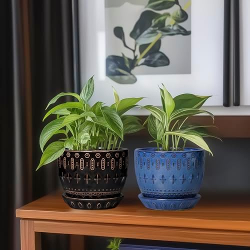 G EPGardening Ceramic Pot for Plants 5.5 Inch - Ceramic Plant Pot Indoor with Drainage Hole and Saucer, Round Boho Planter for Indoor Plants Outdoor, Housewarming Gifts, Garden Office Decor, Black - Image 7