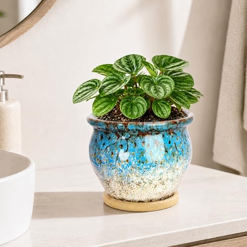 Plant Pots, 4.5 Inch Plant Pots for Indoor, Small Ceramic Planter with Tray - Image 7