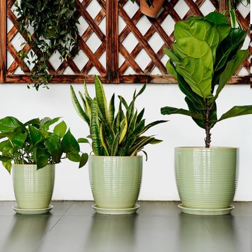 Ceramic Pots for Plants - Modern Round 8 Inch Planter with Drainage Hole and Plant Saucer for Flower Indoor Outdoor, Home Decor, House Warming Gifts, Green - Image 7