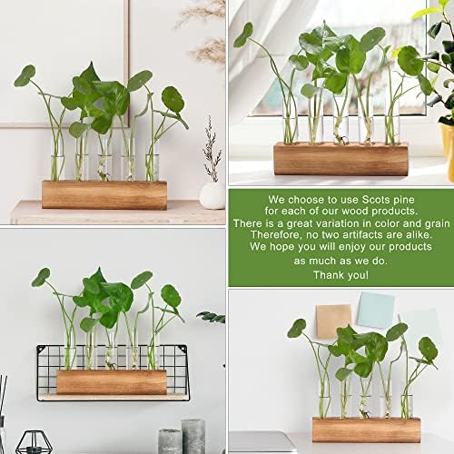 YIBOT Plant Propagation Station, Plant Terrarium with Wooden Stand - Image 7