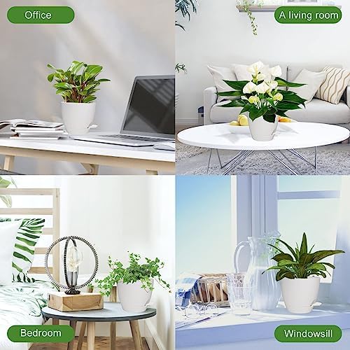 5/6/5.5/5 Inch 7/6.Self Watering Pots for Indoor/Outdoor Plants, 5 Pack - Image 6