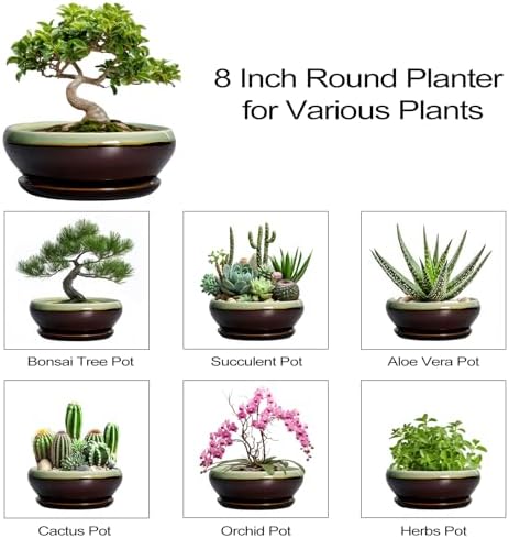 SQOWL Bonsai Pots 8 Inch - Ceramic Succulent Planters with Drainage Hole and Tray, Round Shallow Planter for Indoor Plants, Ceramic Planter Bowl Outdoor, Living Room Decor, Garden Gift, Green-Brown - Image 7