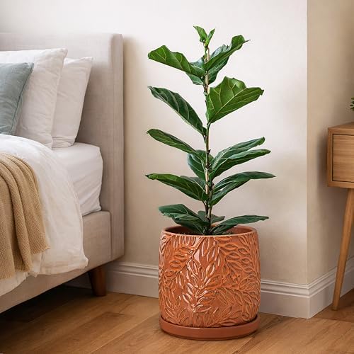 D'vine Dev Embossed Leaves Ceramic Planter, 10 in, Pumpkin, 27-A-P-J - Image 7