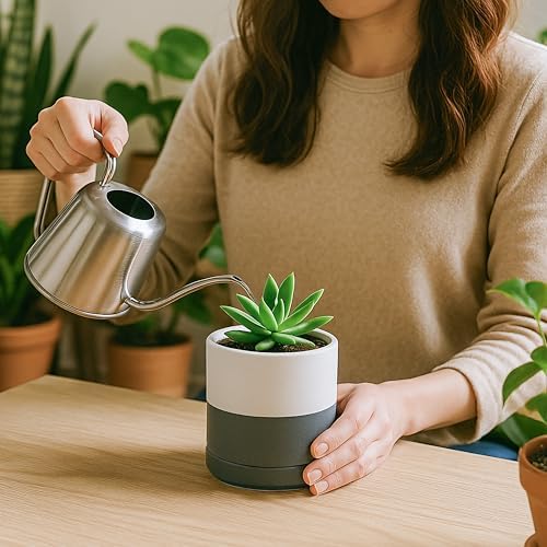 D'vine Dev 3.5 Inch Ceramic Planter Pot, White/Grey, 94-O-A-6 - Image 6