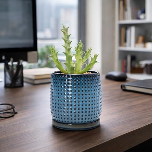 D'vine Dev Beaded Ceramic Pot with Saucer, 4 in, Ocean Teal, 27-C-Z-8 - Image 7