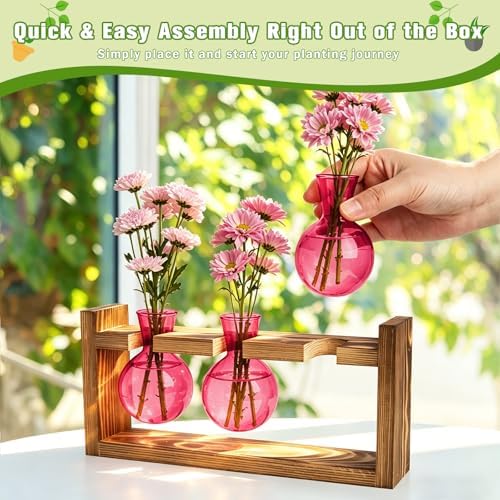 XXXFLOWER Plant Terrarium Jar Propagation Station Stand 3 Pink Bulb Vases - Image 6