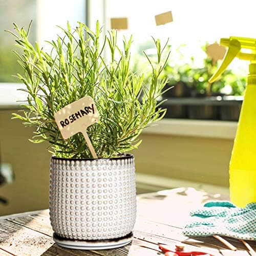 D'vine Dev Beaded Ceramic Pot with Saucer, 6 in, Smoked White, 27-C-X-1 - Image 6