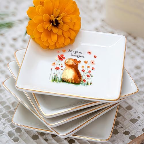 Capybara Jewelry Ring Holder Dish Tray, Gifts For Women Teens Girls, Capybara Lovers Themed Stuff Things Decor Merch,Home Room Ring Earrings Necklace Organizer Holder! - Image 7