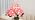 Pink Hydrangea Flower Decor for Christmas Mothers Day Birthday Gifts - Image 7