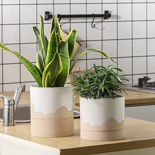 Nihow Ceramic Plant Pot,6 Inch Planter with Drainage Hole&Saucer for Indoor - Image 6