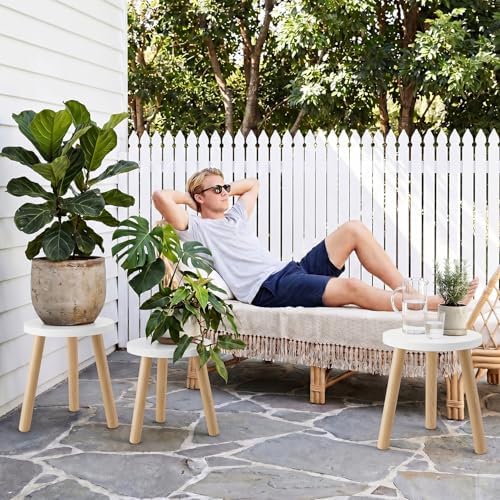 Wood Plant Stands Indoor, White Plant Stand Modern Plant Table for Large Plants, Wooden Plant Stool, Tall Plant Holder Small Round Side for Living Room, Balcony, Office (1 Pack) - Image 7