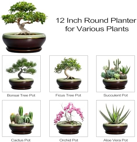 SQOWL Bonsai Pots 12 Inch - Large Ceramic Pots for Succulents with Drainage Hole and Saucer, Shallow Planter for Indoor Plants Outdoor, Round Planter Bowl, Office Decor, Gifts for Women, Green-Brown - Image 7