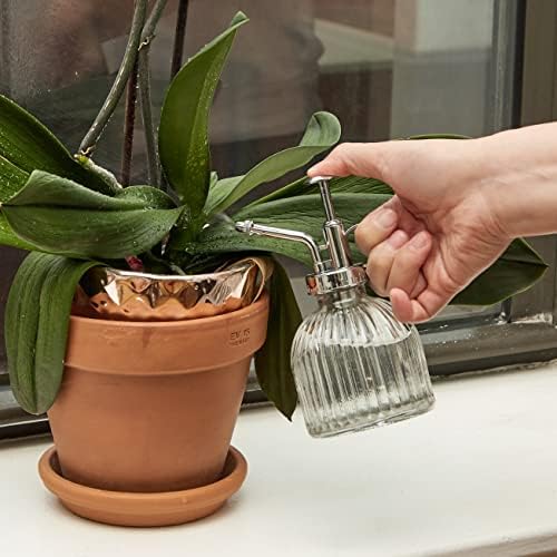 Kikkerland Handheld Glass Mister Mist Spray Bottle, Watering Can, Indoor/Outdoor Plant, Garden, Home - Image 3