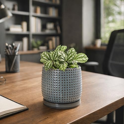 D'vine Dev Beaded Ceramic Pot with Saucer, 4 in, Graphite Blue, 27-C-Z-9 - Image 7