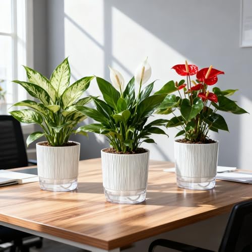 3 Pack Self Watering Pots for Indoor Plants, 5.5 Inch Plant Pots - Image 7