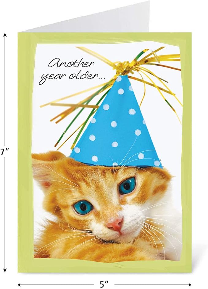 Current Mega Birthday Greeting Cards Value Pack – Set of 40 (20 Designs) Bulk Assortment, Large 5 x 7 inches, Envelopes Included