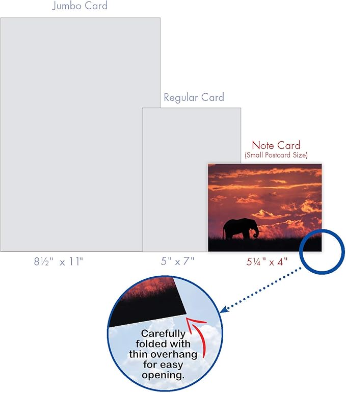 The Best Card Company - 10 Blank Animal Cards Boxed (4 x 5.12 Inch) - Assorted Pets, Zoo, Wildlife Cards for Kids - Safari Sunsets M6551OCB