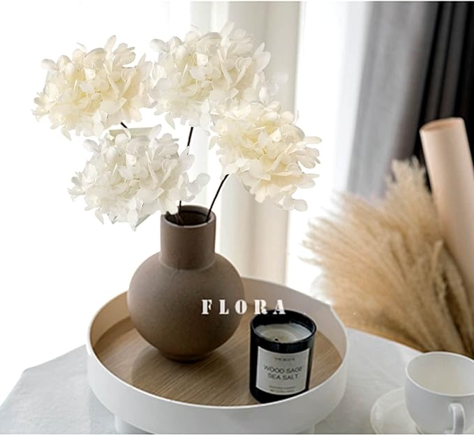 5 PCS Dried Preserved White Hydrangea Flowers - Length 14'' Corolla Size 3''-4'' Real Hydrangeas Petals Handmade for Vase, Arrangement Boho Style Home House Office Wedding Shower Valentine's Decor