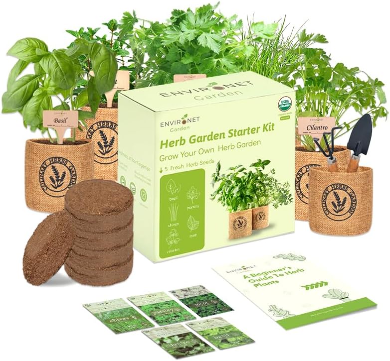 Herb Indoor Garden Kit- Unique Chrismas Herb Gardening Gift, Home Kitchen Gift for Mom, Friends, and Gardeners (Basil, Parsley, Chives, Cilantro, Mint) - Image 7