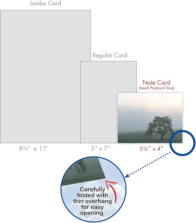 The Best Card Company - 20 Landscape Nature Note Cards Blank (4 x 5.12 Inch) (10 Designs, 2 Each) - Timeless Trees AM9524OCB-B2x10