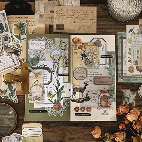 Esweny 260PCS Vintage Journaling Scrapbooking Supplies Scrapbook Sticker Paper Ephemera Pack for Junk Journal Planners Collage Craft Notebooks Album (Plants and Birds) - Image 7