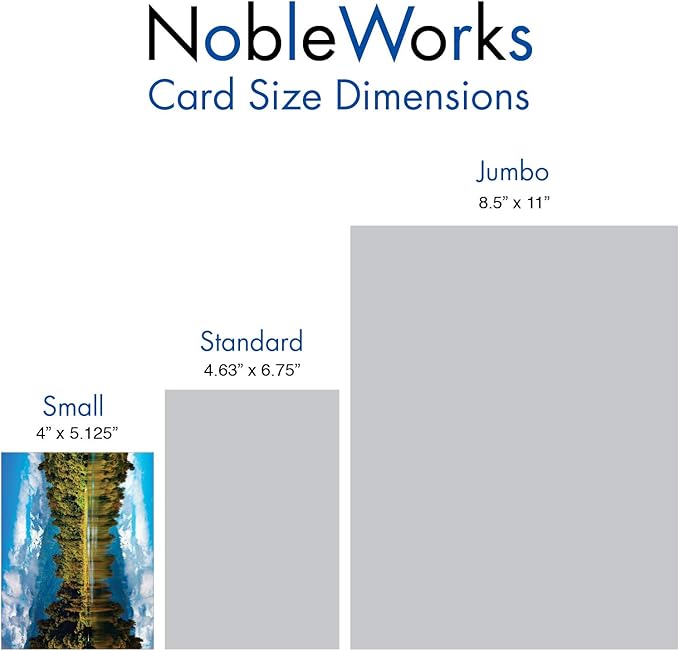 The Best Card Company - 20 Landscape Nature Note Cards Blank (4 x 5.12 Inch) (10 Designs, 2 Each) - Reflections AM1728OCB-B2x10