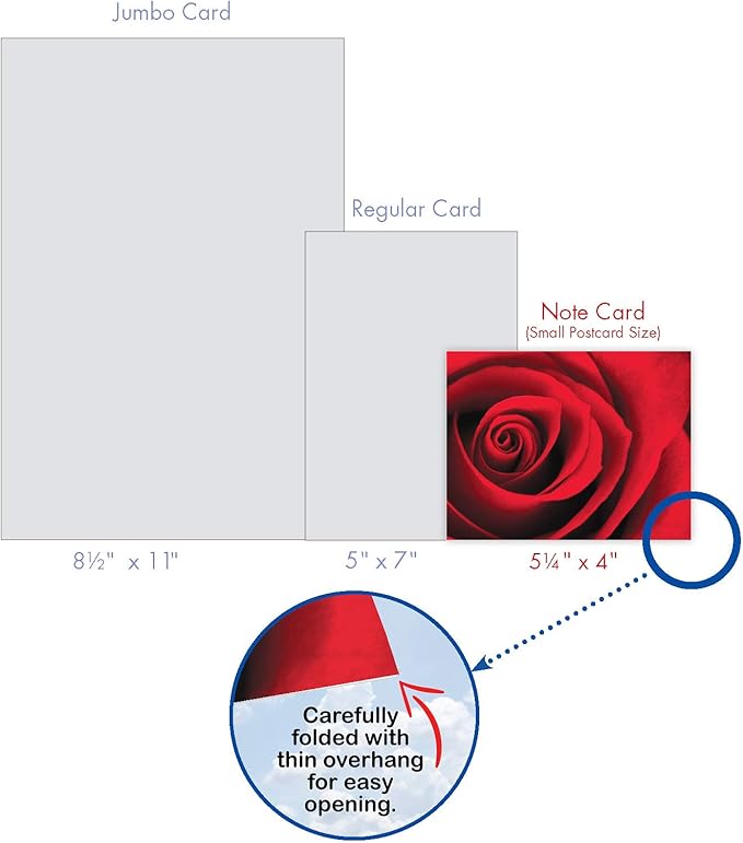 The Best Card Company - 10 Blank Note Cards with Flowers (4 x 5.12 Inch) - Floral Notecards, All Occasion Boxed Assortment - Roses are Red M3088