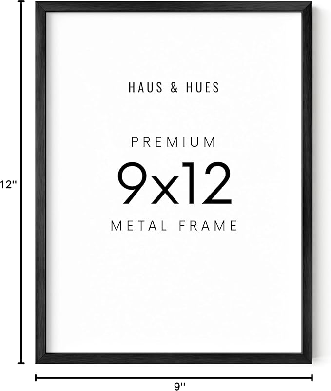 HAUS AND HUES 9x12 Black Metal Picture Frame - Features Premium Aluminum & Hanging Hardware, Shatterproof Plexiglass - Ideal for Home, Room, Office (9x12 in, Black, Set of 1)