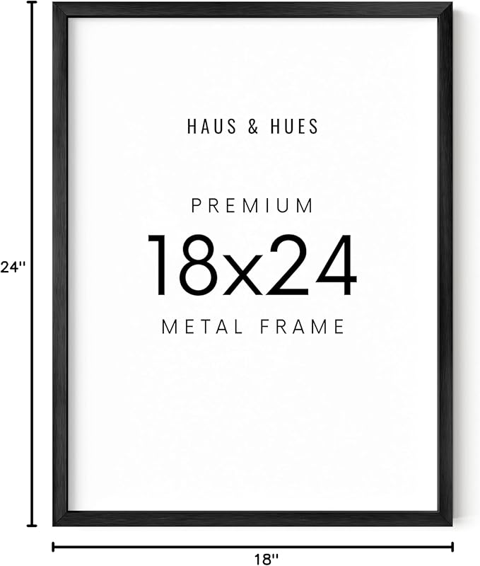 HAUS AND HUES 18x24 Black Picture Frame - Aluminum, Shatterproof Plexiglass, Vertical & Horizontal Hanging - Ideal for Home, Room, Office Decor (18x24 in)