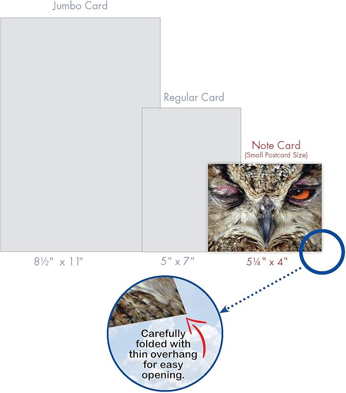 The Best Card Company - 10 Bird Note Cards Blank (4 x 5.12 Inch) - All Occasion Cards with Envelopes, Boxed Set - What a Hoot M1769BN