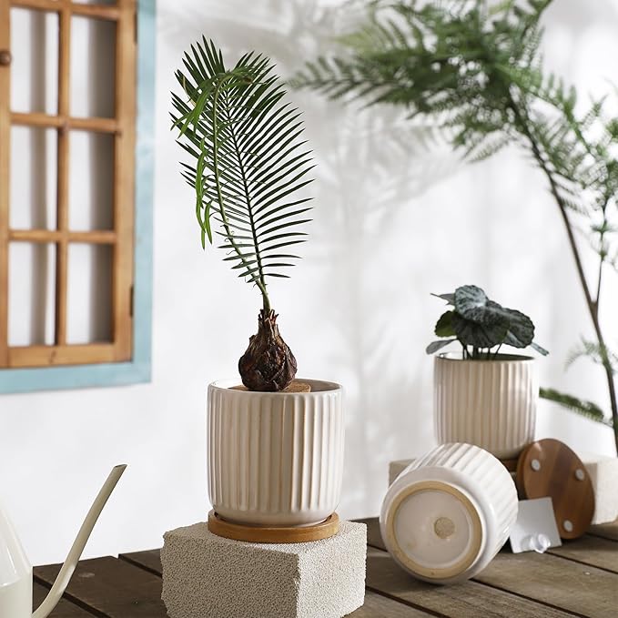 4 Inch Ceramic Plant Pots with Drainage Holes and Trays, Cylinder Vertical Stripes Small Flower Planter Pot with Bamboo Saucers for Indoor Plants, Succulent, Snake Plants, Cactus, Set of 4