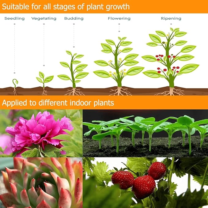 3Head Clip Grow Lights for Indoor Plants, Small Pot Plant Grow Light with 3,9,12 Hr Timer, Full Spectrum Bonsai Grow Light, Bright Plant Growing Lamps