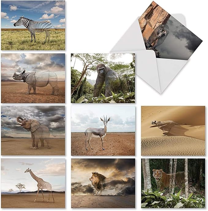 The Best Card Company - 10 Blank Animal Cards Boxed (4 x 5.12 Inch) - Assorted Pets, Zoo, Wildlife Cards for Kids - Vanishing Wildlife M1736BN