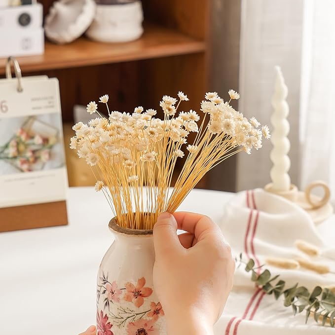 Natural - Dried - Flowers Brazilian Small Star Daisy Dried Decorative Mini Chamomile Bouquet for Wedding Floral Arrangements Home Decorations Valentine's Day Gifts (200 Stems) (White)