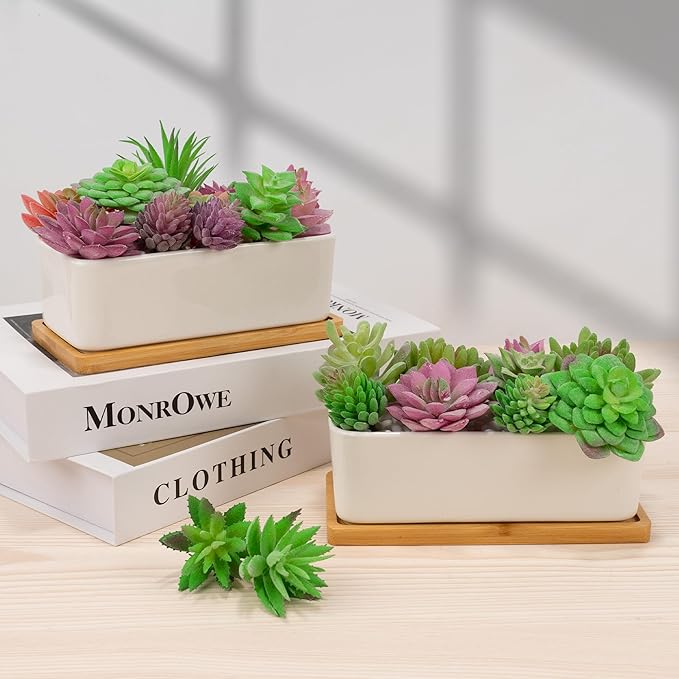 2 PCS Succulent Pot Cactus Containers White Ceramic Planter with Drainage Hole and Removable Tray Small Plant Pots for Home Office Decor Bonsai Container for Indoor Outdoor Plants (Rectangle)
