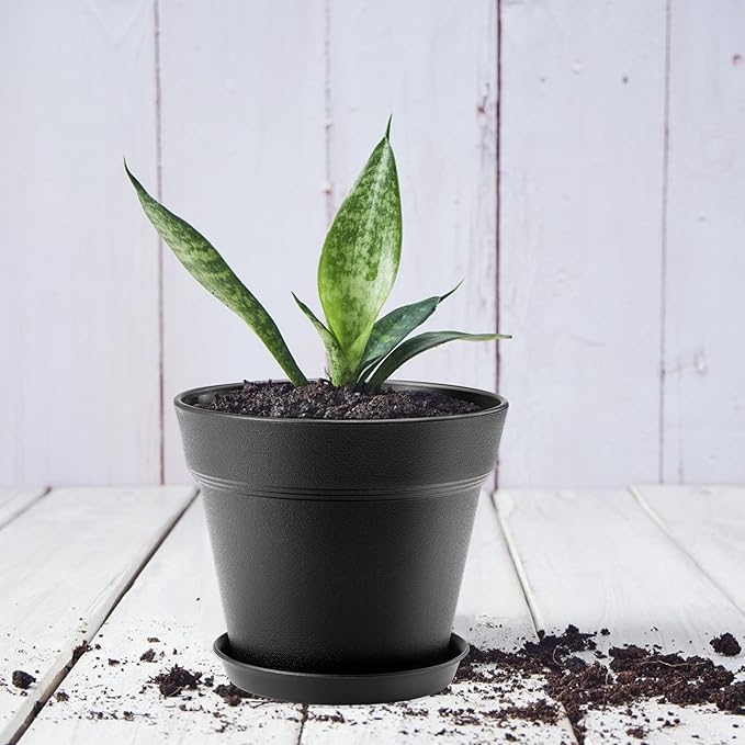 4 Inch Plastic Plant Pots 6 Pack, Small Flower Pots with Drainage Holes and Tray, Thickened Indoor Planters Seedlings Nursery Pots, African Violet, Succulent and All House Plants, Black