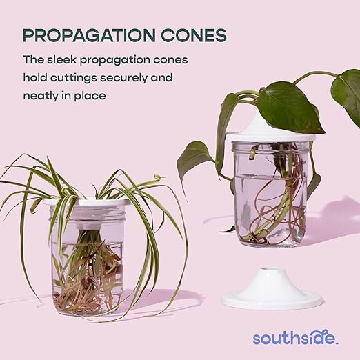 Southside Prop Box – Holiday Gift Set for Plant Lovers - Includes Keiki Paste, Root Drops, Leafy Plant Food & Propagation Cones - Complete Indoor Plant Propagation & Care Kit