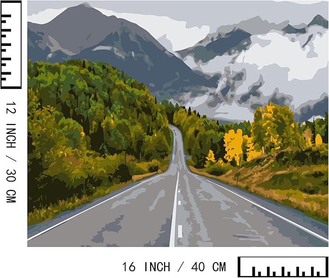 BAISITE Paint by Numbers Kit for Adults Beginners,16" Wx12 L 2 Pack Canvas for Painting Kits for Adults in Colorful Box-BAIPBN651-652