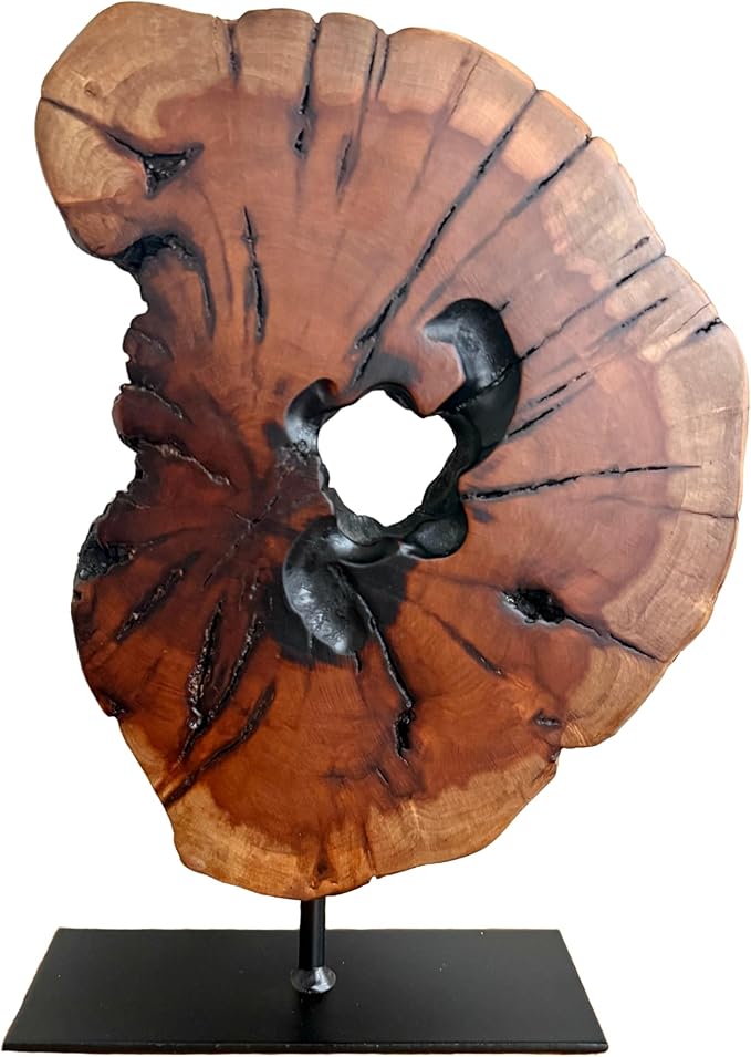 THY COLLECTIBLES Irregular Handcarved Root Wood Sculpture, Wood Tabletop Abstract Standing Sculpture for Home Decor Natural Edge Tabletop Statue Tree Stump - Small (W7.75in x H11in)