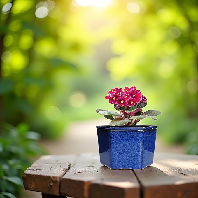 African Violet Pots 6 inch Hexagon Self-Watering Ceramic Violet Pots 4.50'' Opening (Blue)