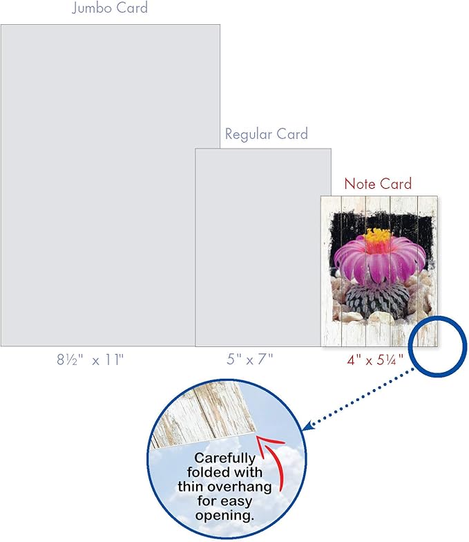 The Best Card Company - 10 Blank Note Cards with Envelopes (4 x 5.12 Inch) - Bulk All Occasion Cards Boxed - Flowering Cactus Spheres AM6439OCB-B1x10