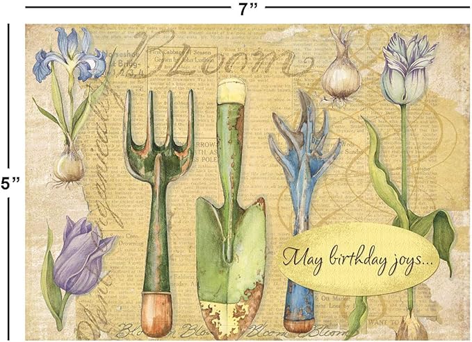 Current by Susan Winget Happy Birthday Greeting Card Set - Value Pack of 20 Cards With White Envelopes, 10 Designs, Large 5" x 7" Assortment